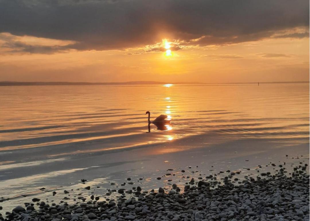 Ferienwohnung Morgensonne Langenargen Buitenkant foto